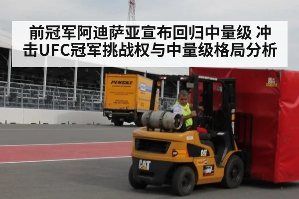 前冠军阿迪萨亚宣布回归中量级 冲击UFC冠军挑战权与中量级格局分析
