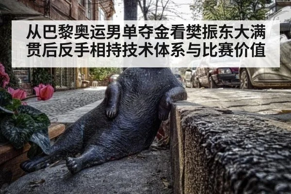 从巴黎奥运男单夺金看樊振东大满贯后反手相持技术体系与比赛价值